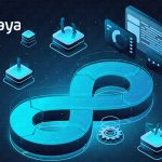 Panaya